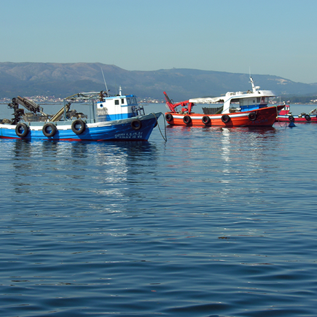 Mapn0210 actividades de pesca en palengre, arrastre y cerco y transporte marítimo